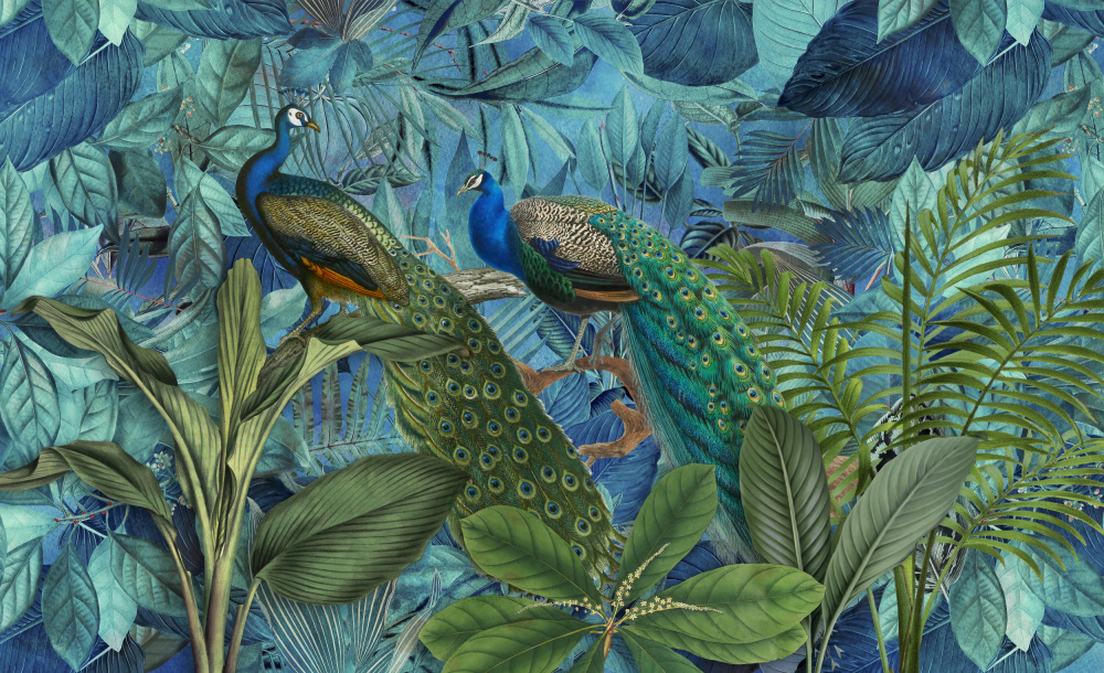 Jungle Birds Garden No1 von Andrea Haase