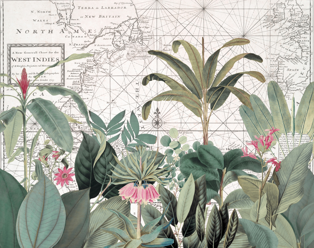 Exotic Wildlife 005 1 von Andrea Haase