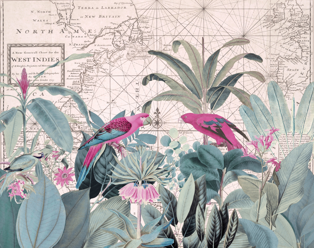 Exotic Wildlife 006 1 von Andrea Haase