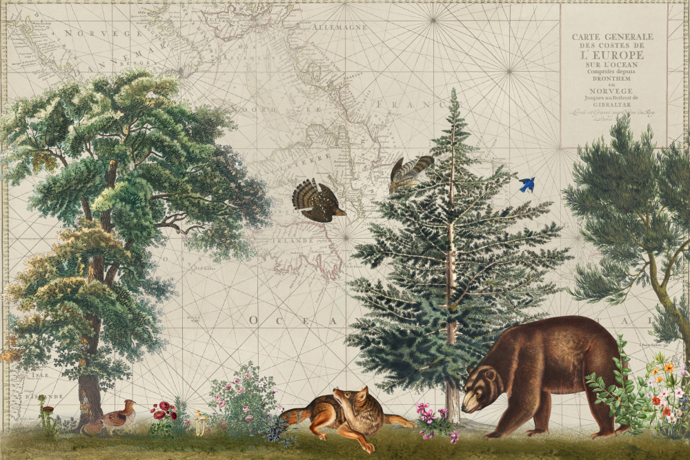 Nordic Woods 5 von Andrea Haase