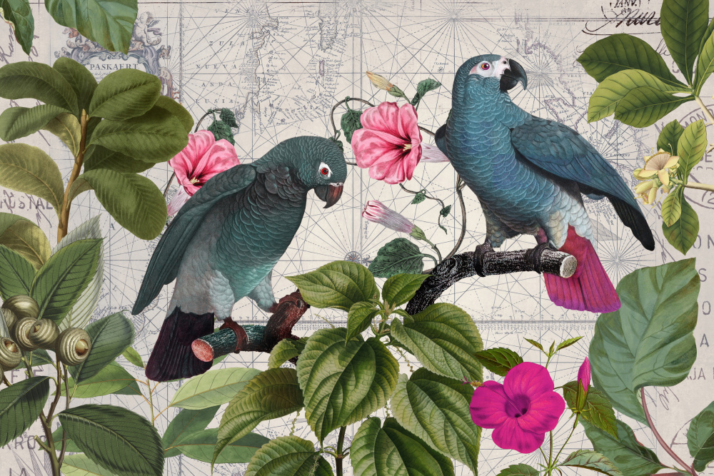 Parrots Nostalgic Journey Kopie von Andrea Haase