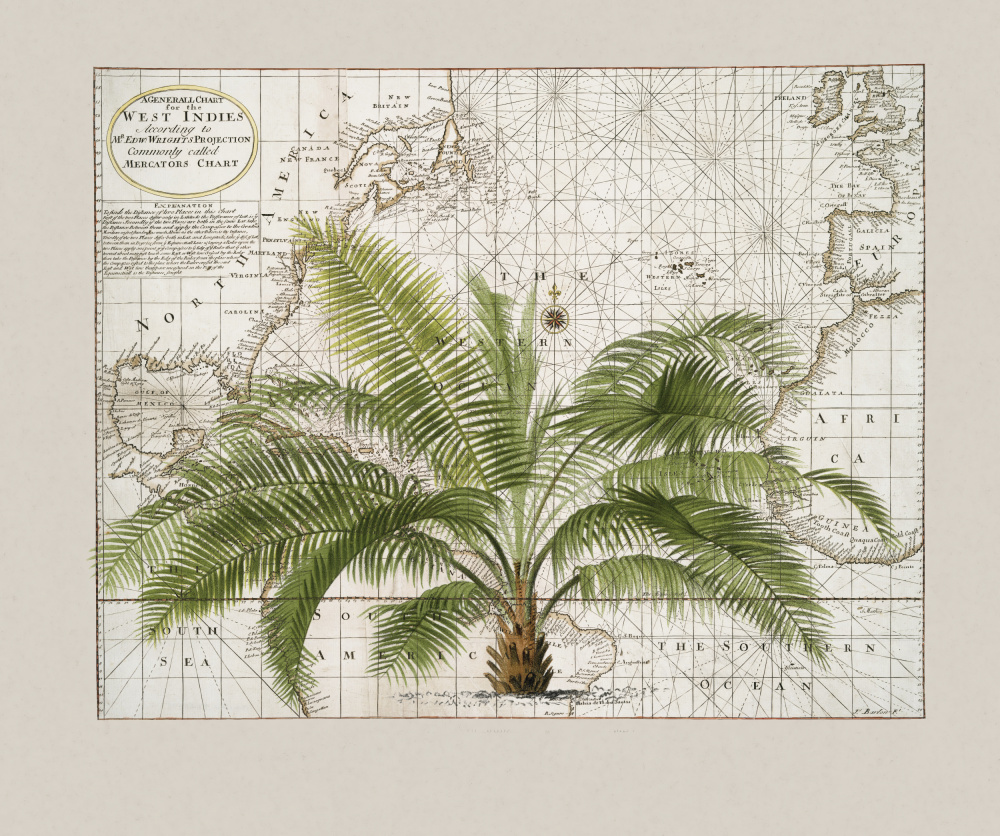 Tropical Empire No1 von Andrea Haase