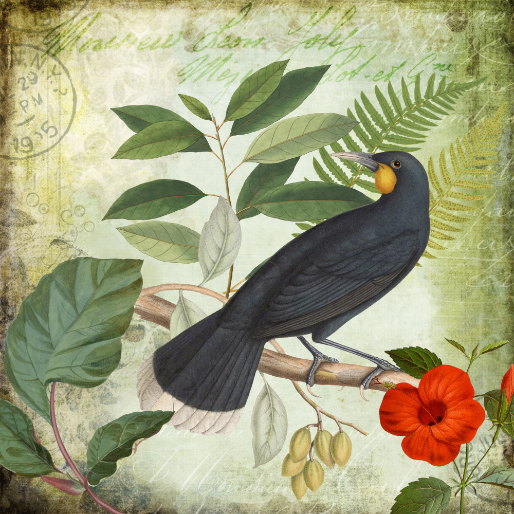 Birds Garden von Andrea Haase
