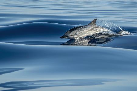 Surfing a velvet sea