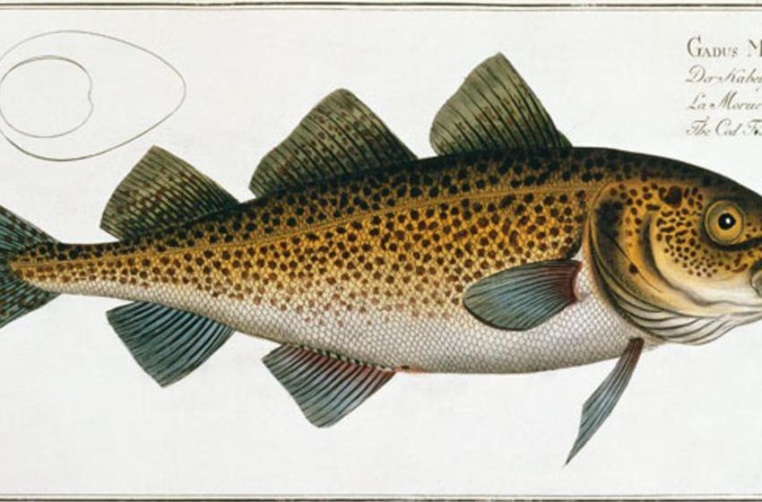 Andreas-Ludwig Kruger