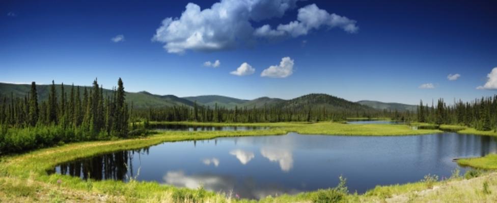 Die weite von Alaska von Andreas Boes