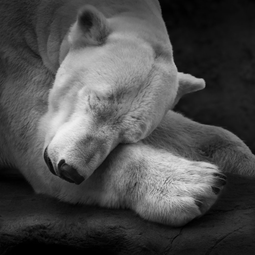 On my pillow von Andreas Krinke