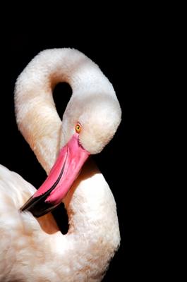 Das kaufmännische UND von Andreas Marinski