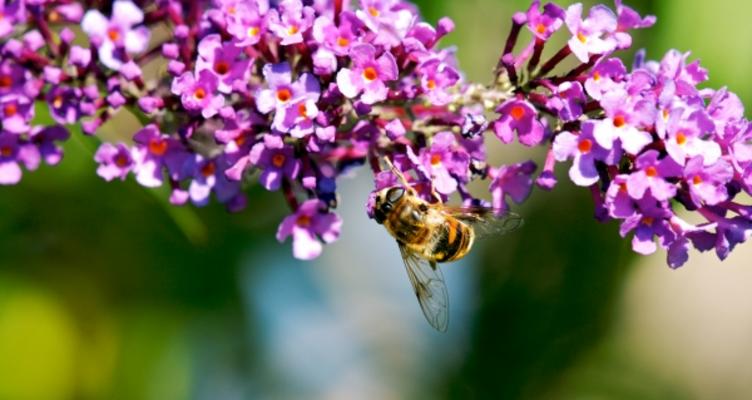 Die Details des LebenS von Andreas Marinski