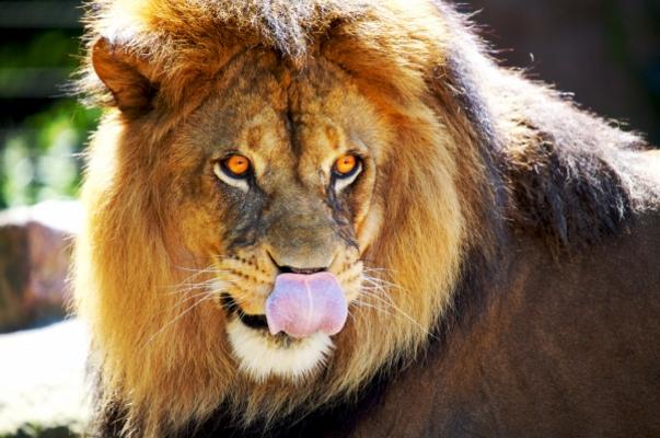 Hmm lecker Fotograf von Andreas Marinski