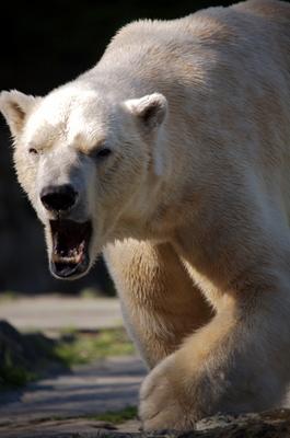 Klare Ansage von Andreas Marinski