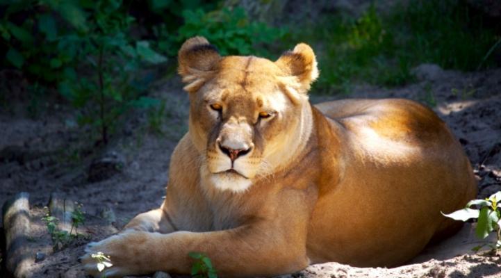 Leave me ALONE von Andreas Marinski