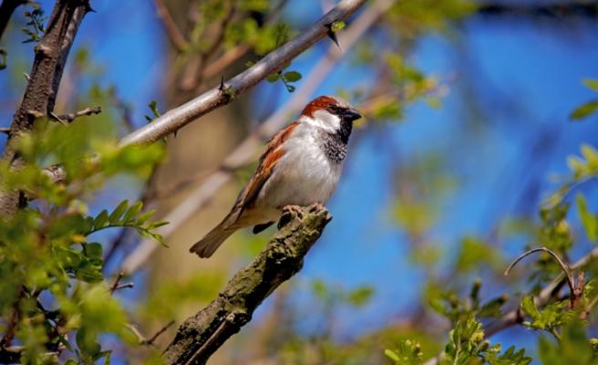 SonnenbaD von Andreas Marinski