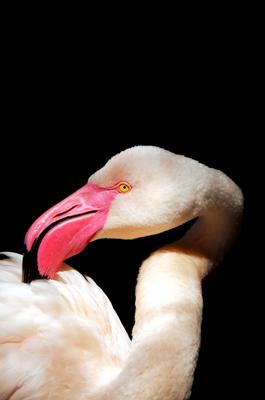 VerlegenheiT von Andreas Marinski