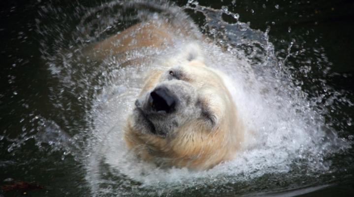 Waschtag von Andreas Marinski