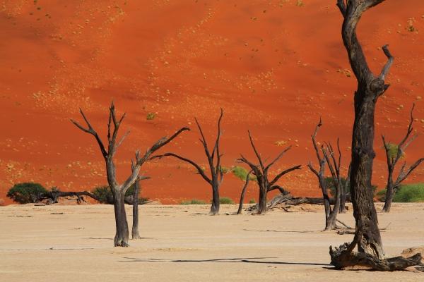 Deadvlei Nambia von Andreas Pollok