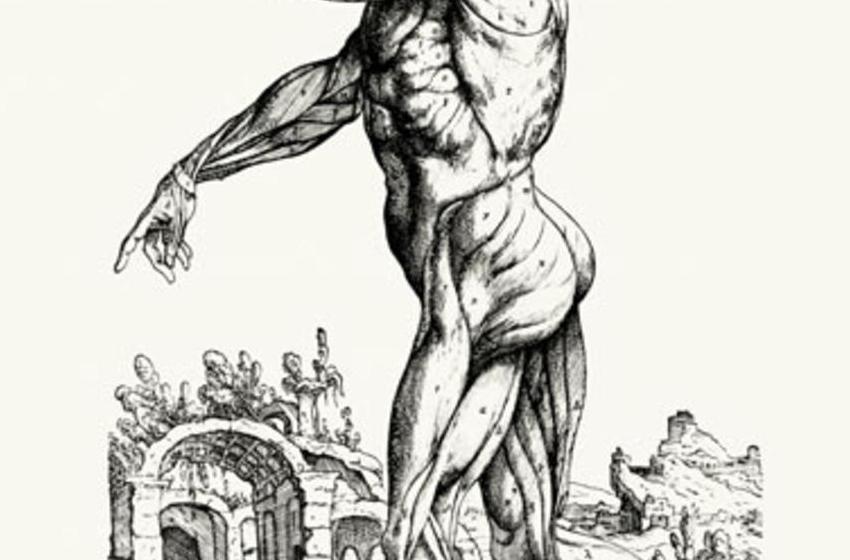 Andreas Vesalius