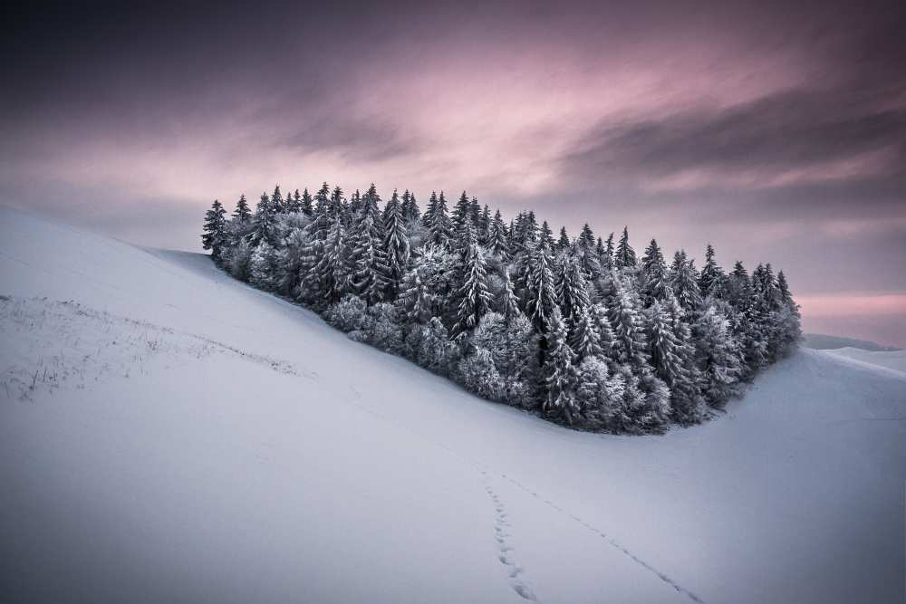 Staying Together von Andreas Wonisch