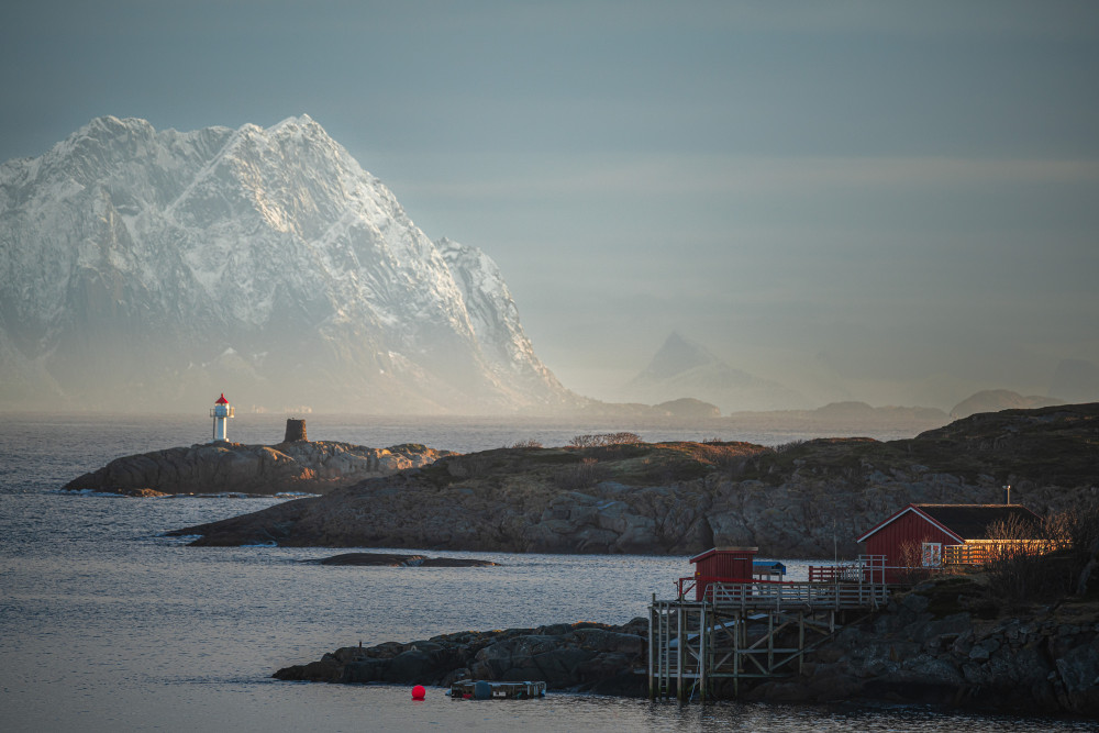 Serene von Andreea Selagea