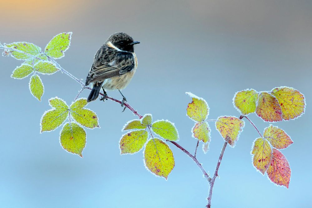 Wintertag von Andres Miguel Dominguez