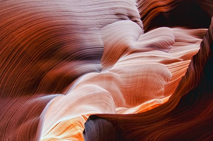 The Echo of Time von Andrew J. Lee