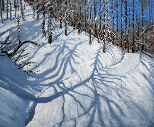 Fir Tree Shadows, Tignes von Andrew  Macara