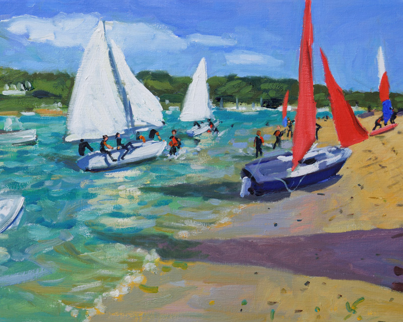 Sailing Boats ,Salcombe von Andrew  Macara