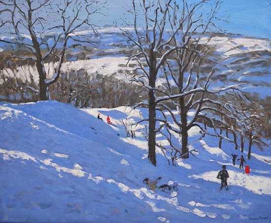 Black Rocks, Derbyshire von Andrew  Macara