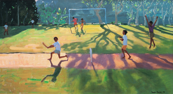 Cricket, Sri lanka von Andrew  Macara