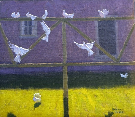Doves von Andrew  Macara