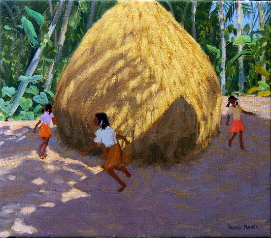 Haystack, Kerala von Andrew  Macara