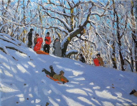 Sledging in Allestree Woods von Andrew  Macara