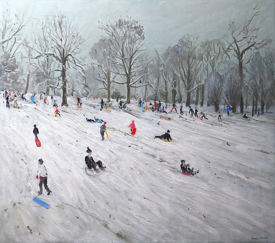 Tobogganers, Darley Park von Andrew  Macara