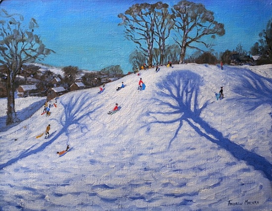 Two Tree shadows, Bolehill, Wirksworth von Andrew  Macara