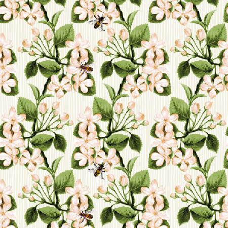 Crab Apple Blossom and Honey Bee