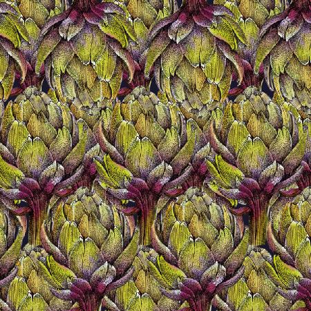 Globe artichoke heads