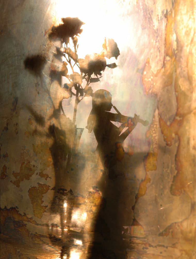 Musik aus Licht und Schatten von Andrey Morozov