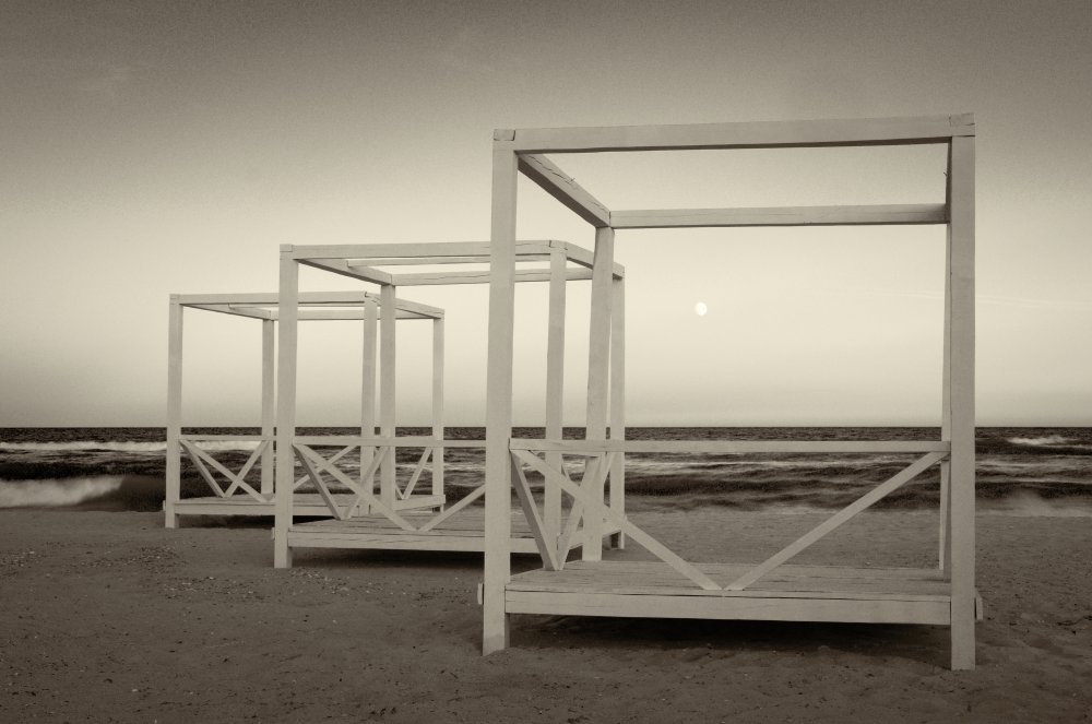 Catch The Moon von Andrii Maykovskyi