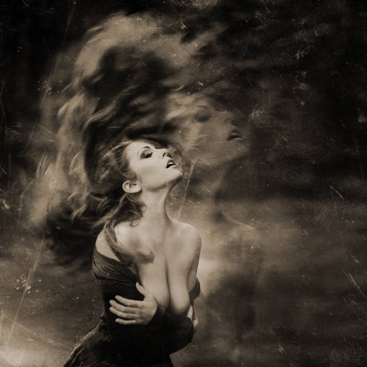 Dorothy von Andrzej Car