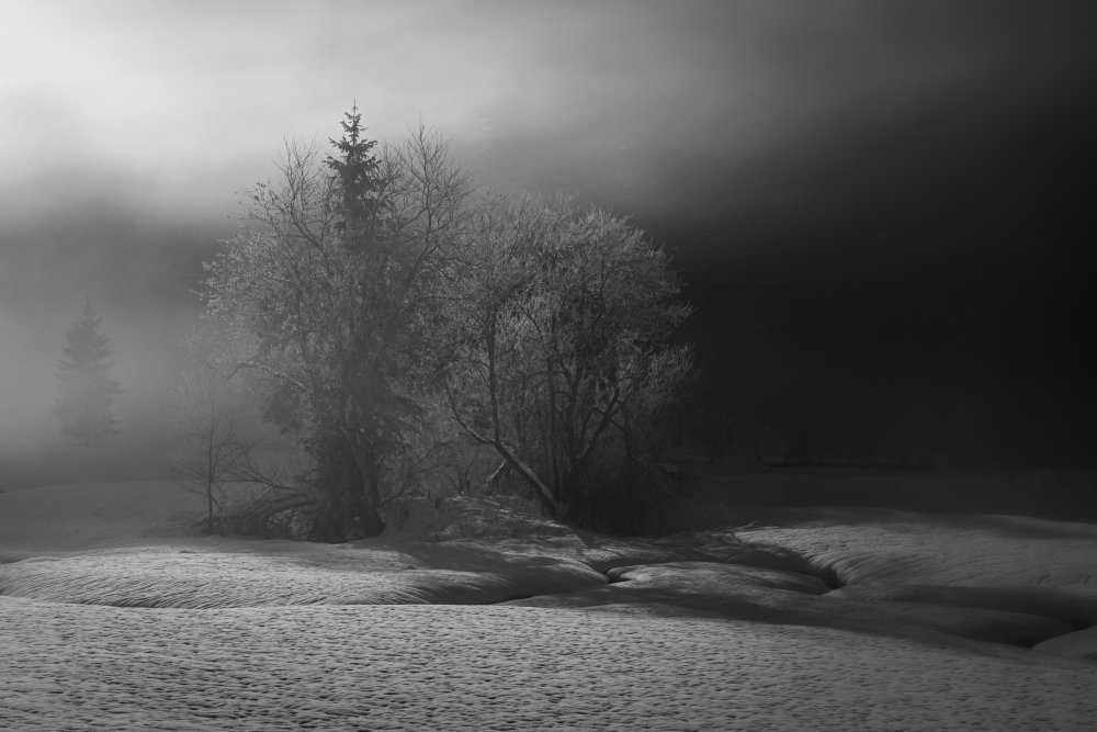 winter is painting in bw von Andy Dauer