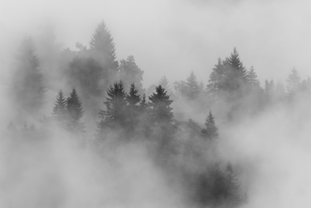 autumn von Andy Dauer