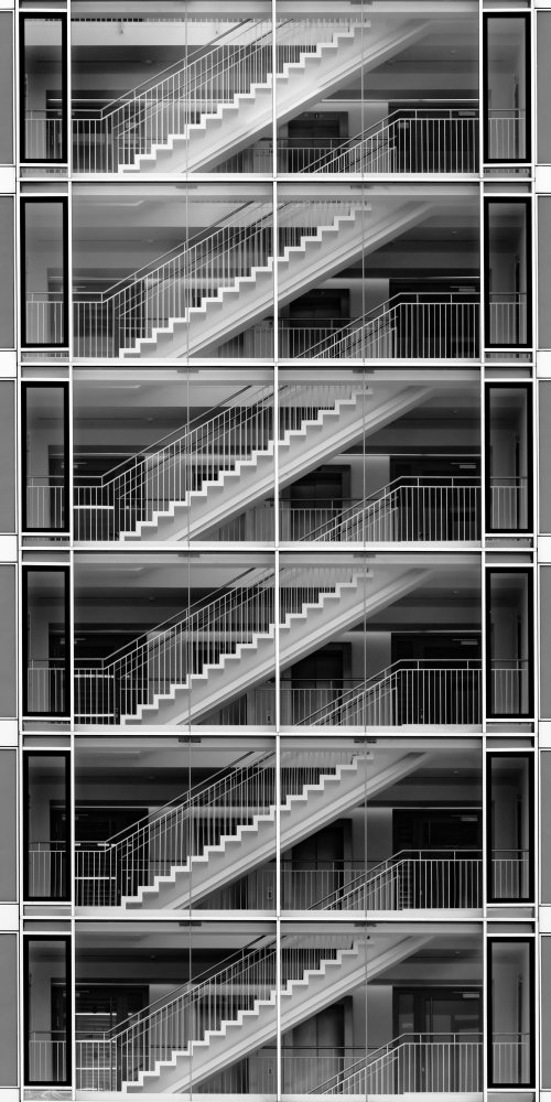 more Z! von Andy Dauer