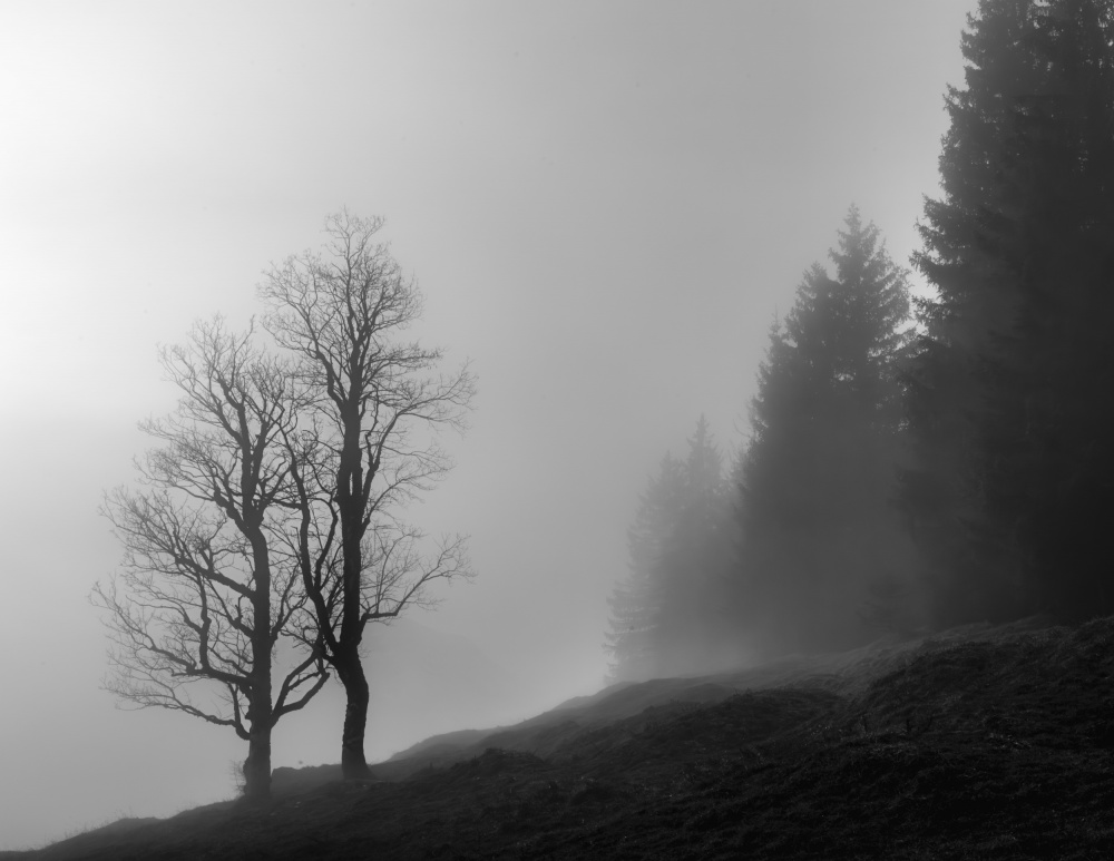 what´s up? von Andy Dauer