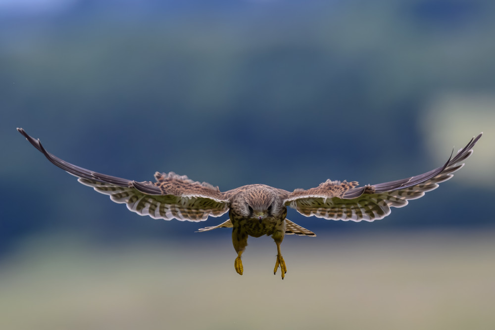 Incoming... von Andy Dean