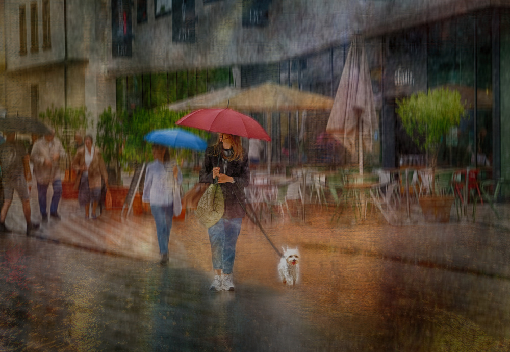 In company von Anette Ohlendorf