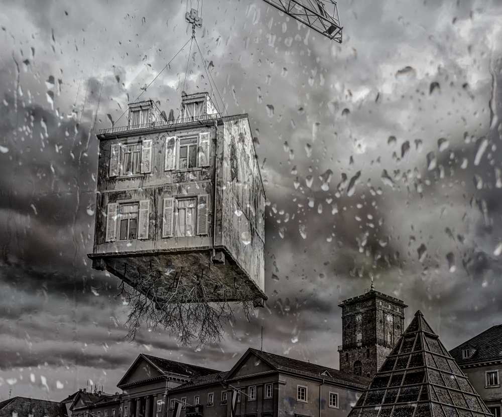 uprooted von Anette Ohlendorf