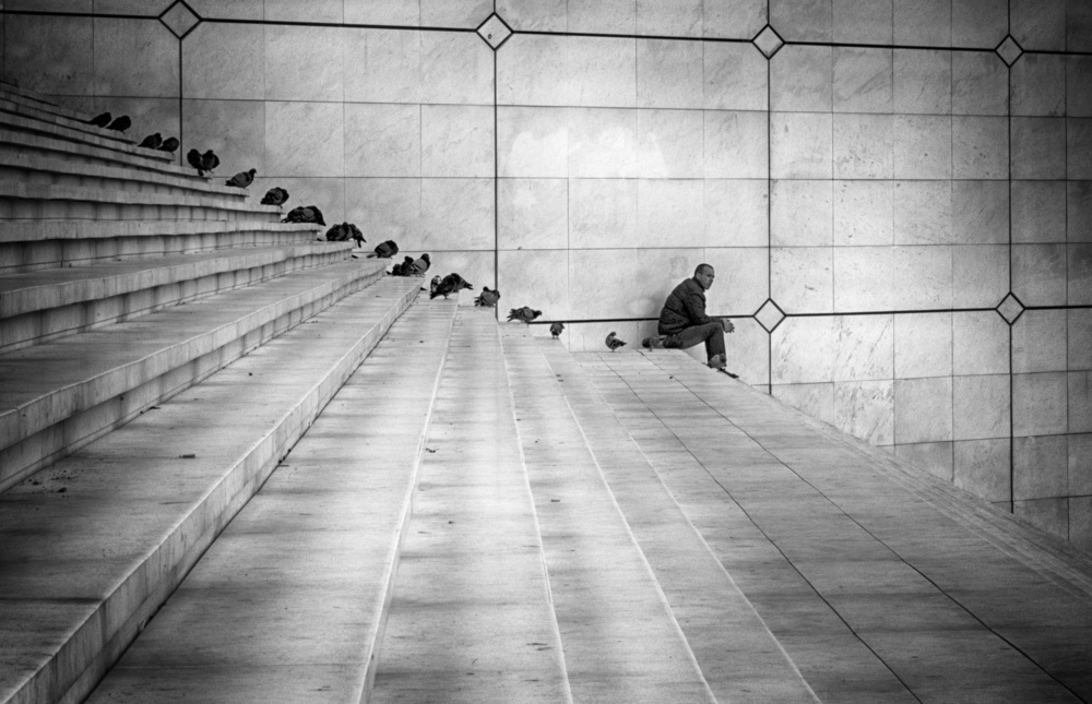 The Followers von Angela Muliani Hartojo