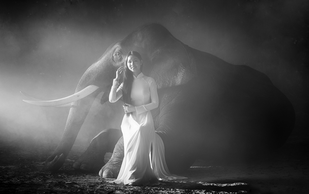 A Girl and An Elephant von Angela Muliani Hartojo