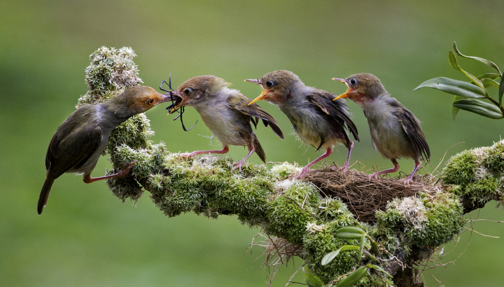Big Breakfast von Angela Muliani Hartojo