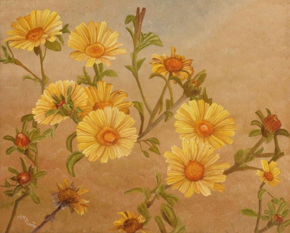 Yellow Daisies von Angeles M. Pomata